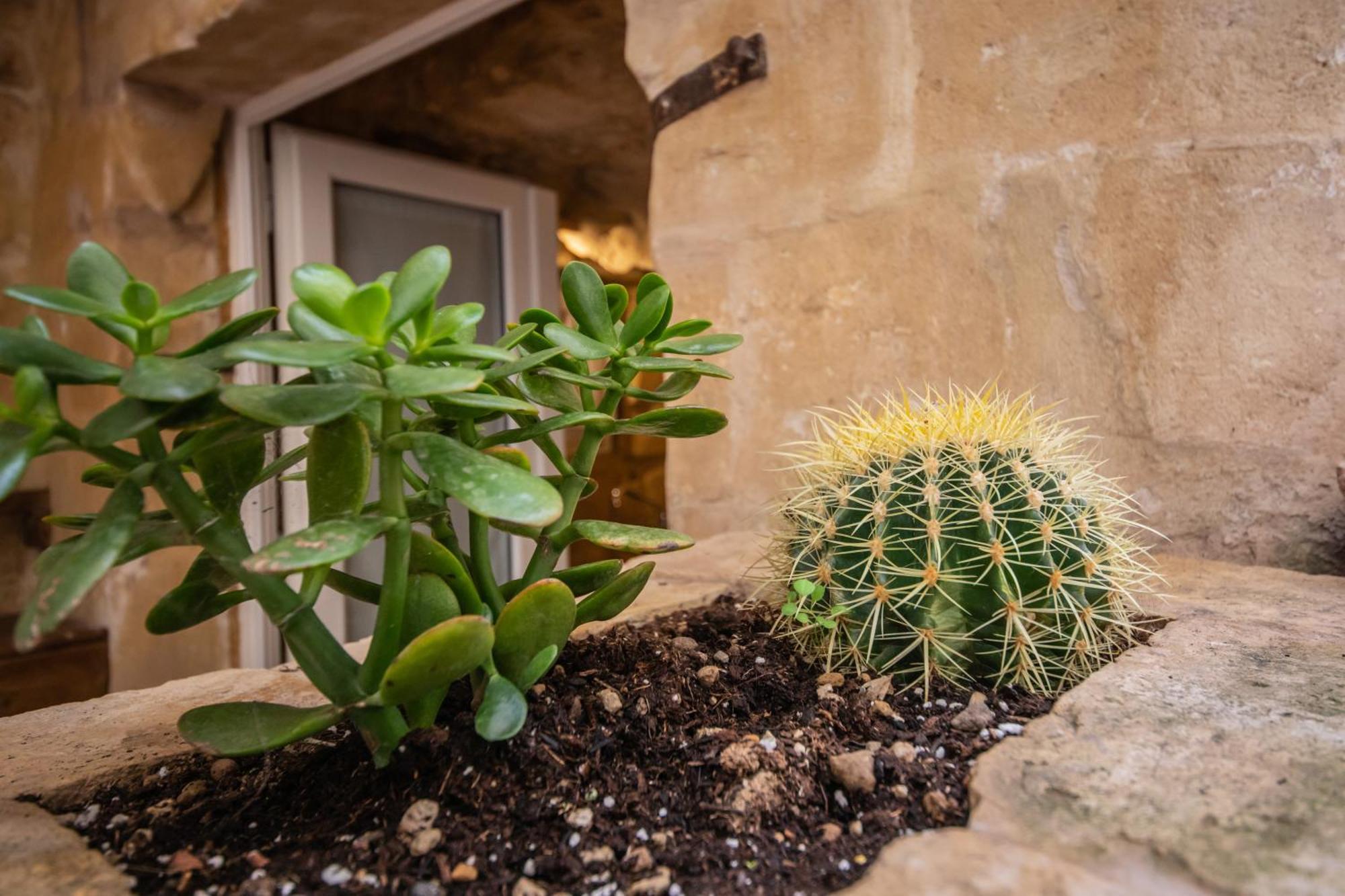 Suite San Biagio Nei Sassi มาเตรา ภายนอก รูปภาพ